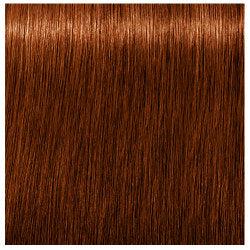 Schwarzkopf Igora Royal Absolutes Hair Colors