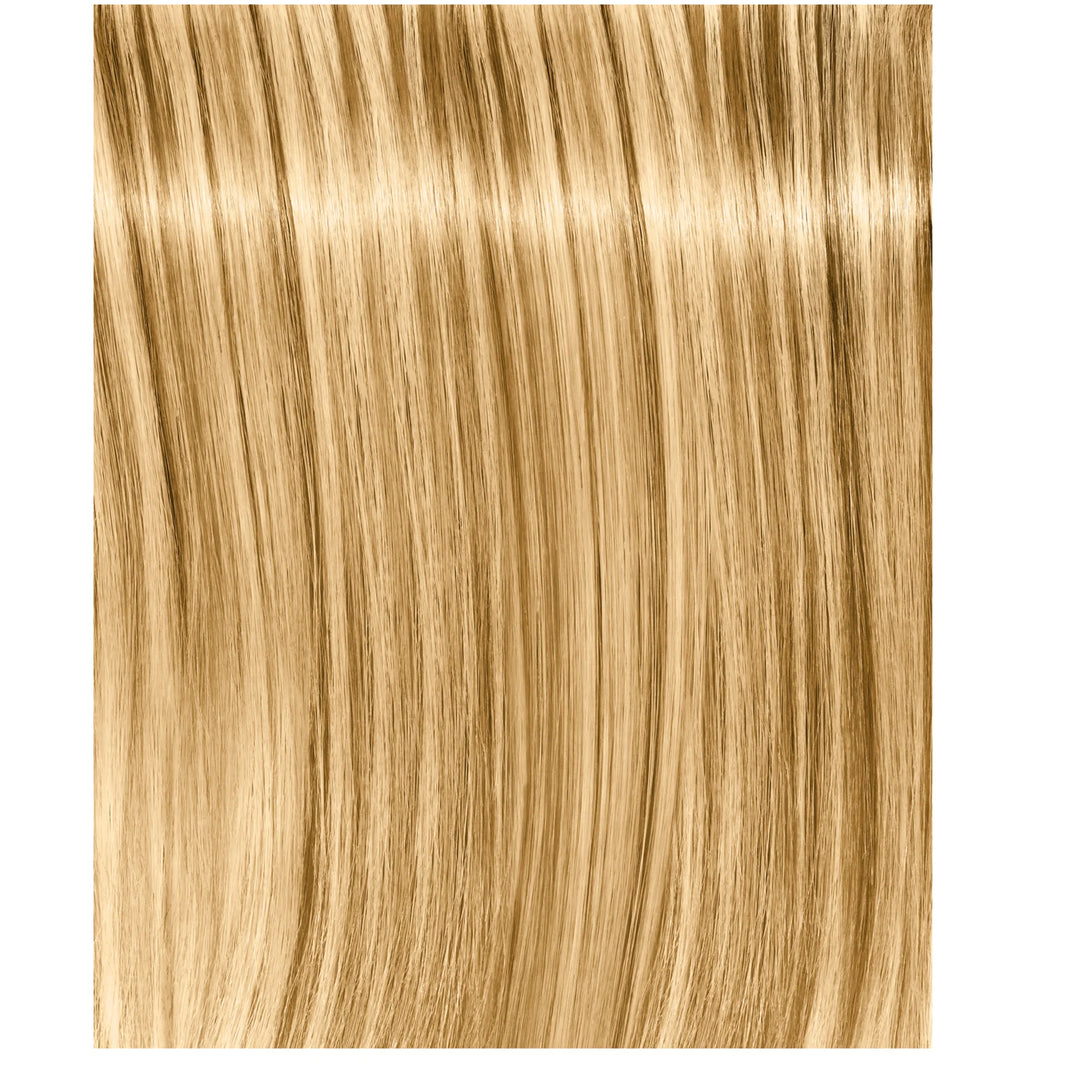 Schwarzkopf Igora Royal Fashion Light Hair Colors