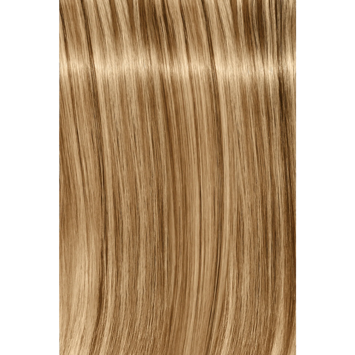 Schwarzkopf Igora Royal Fashion Light Hair Colors