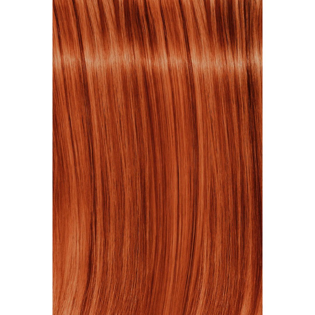 Schwarzkopf Igora Royal Fashion Light Hair Colors