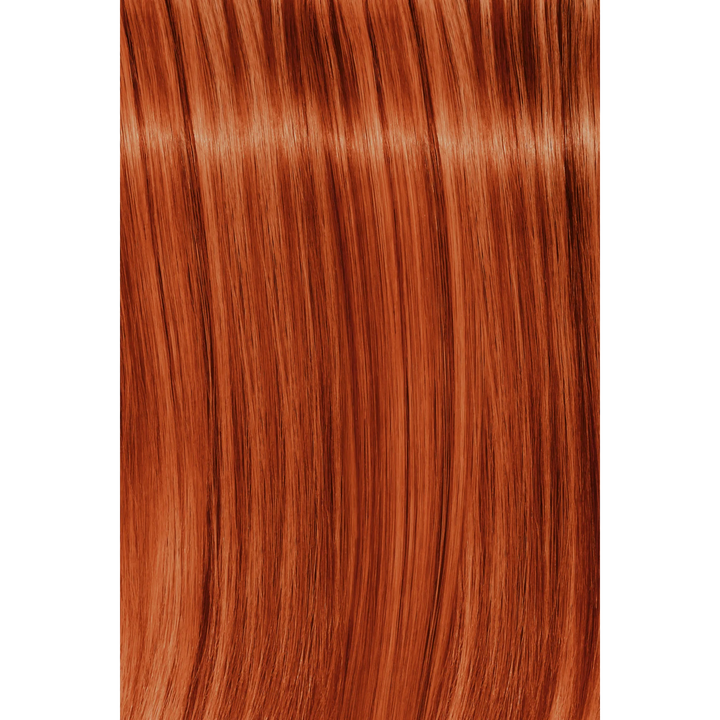 Schwarzkopf Igora Royal Fashion Light Hair Colors