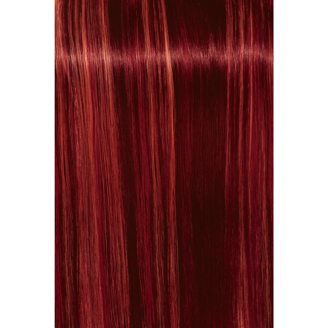 Schwarzkopf Igora Royal Fashion Light Hair Colors