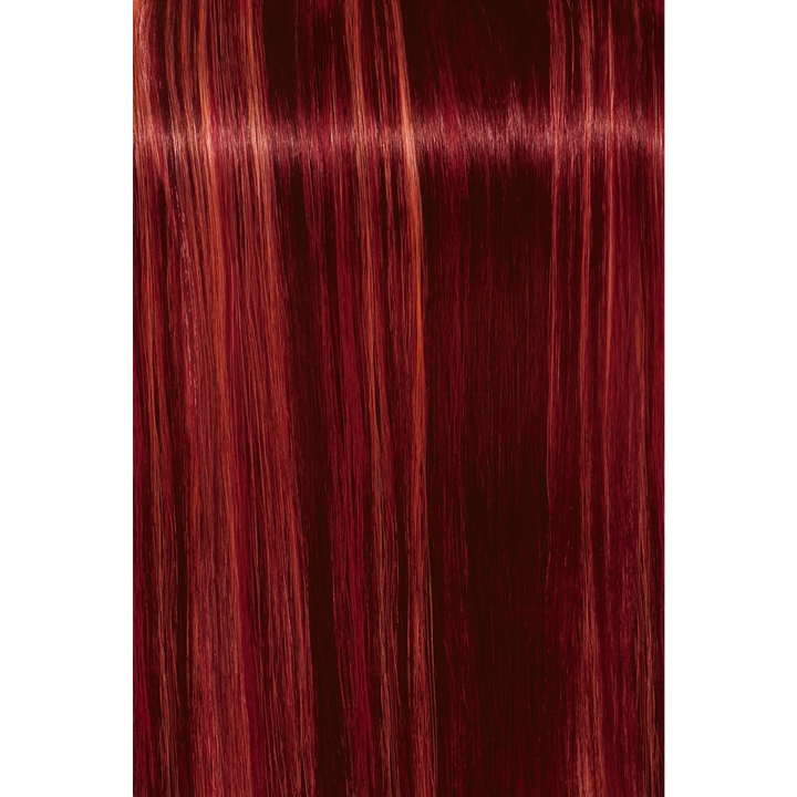 Schwarzkopf Igora Royal Fashion Light Hair Colors