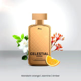 Rivaj UK Celestial Men Perfume 100 ML